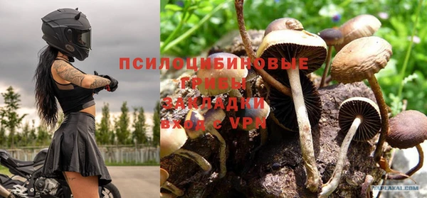 тгк Армянск
