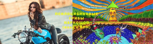 тгк Армянск