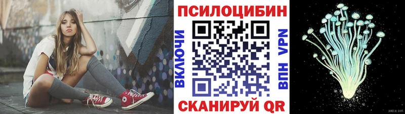 blacksprut сайт  Волгоград  Галлюциногенные грибы Cubensis 